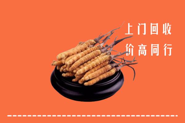 高价求购：昭通回收散虫草