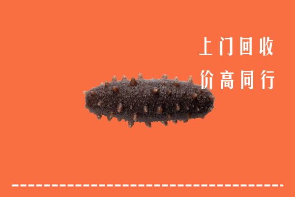 高价求购：昭通回收海参