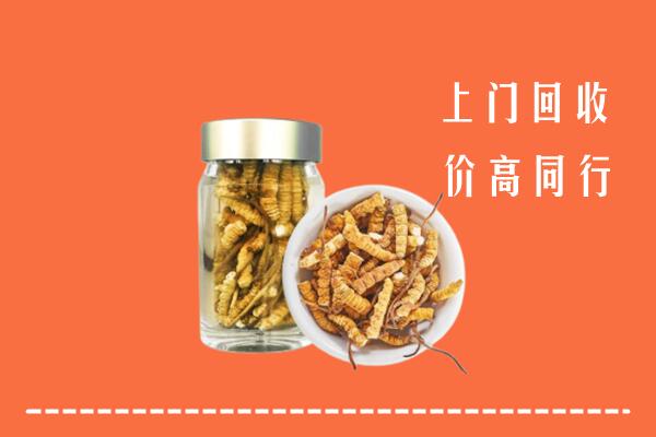 收购行情：昭通回收冬虫夏草