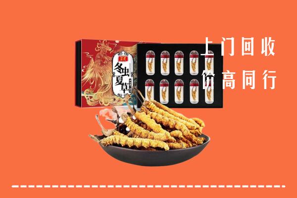 收购行情：昭通回收虫草